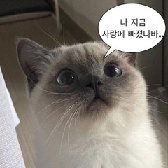 있잖아