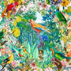 birdsongs