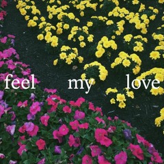 feel my love