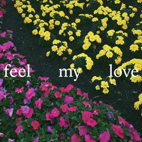 feel my love