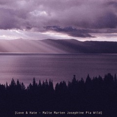 Love & Hate - Malte Marten & Josephine Pia Wild