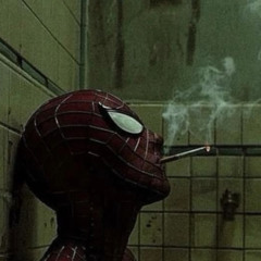 Night$ at Album Park (Cover) REPROD. STONE BELUVD