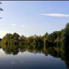 Relaxing Background Music- Birds singing at a calm lake