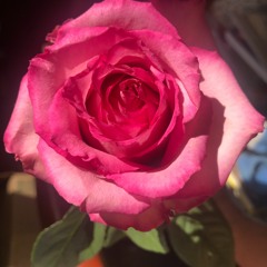 Original God/Goddess DNA - Description of Practical Intensive