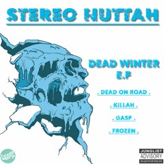 Stereo Nuttah - Dead On Road (OUT NOW! on Dead Winter E.P)