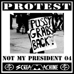 Protest 2017 No Trump 04