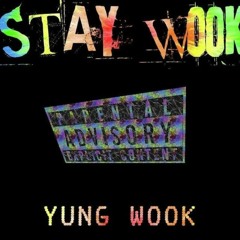 STAY WOOK Freestyle