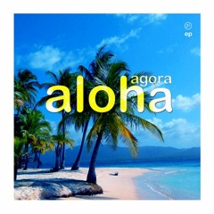 Out Now: Ibiza Air & Miguel ES ~ Aloha Agora ft. Mari Am  (Dom Paradise Mix) *excerpt*