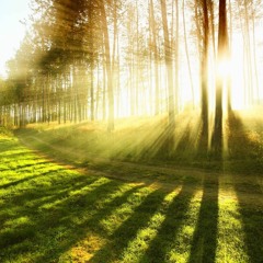 Happy Easter - Let The Sun Shine In Your Heart