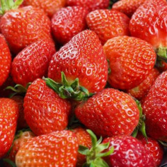 Sweet Trap Berri -----------    SamplerRemix