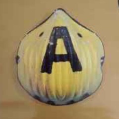 Jimmy Raz V Altern8 - Active8(35)