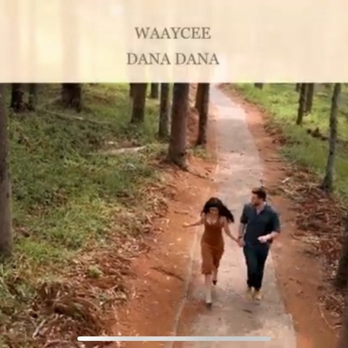 Dana Dana kurdi remix (WAAYCEE mashup)