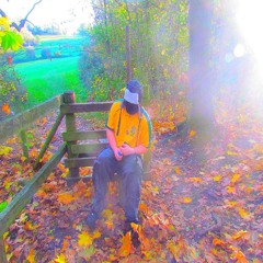 WW30 (MUSIC VIDEO IN DESC)