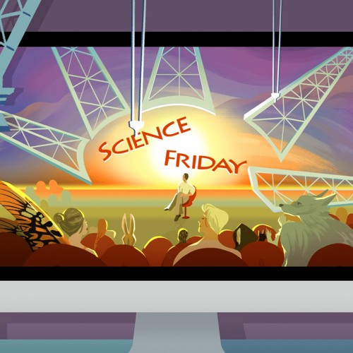 Stream episode Finding Science Friday’s Second Life by SciFri podcast