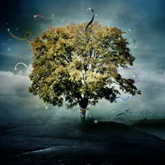 Downtempo 43