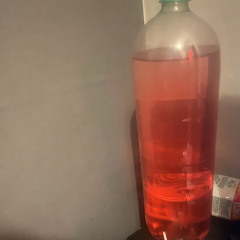 tbandzo - rose