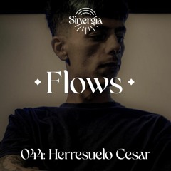 Flows 044: Herresuelo Cesar