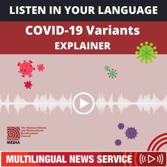 COVID-19 Variants Explainer (VIC)