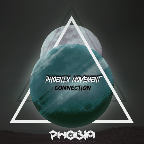 PMR049 Phoenix Movement - Connection