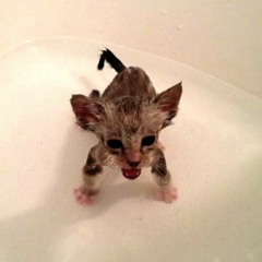 please stop crying [prod. kreditkartan]