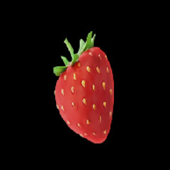 umysł