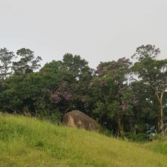 moneymaker w/ @cirodaniel_