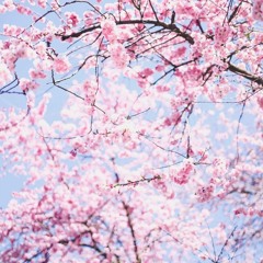 What is the issue (prod. shango)