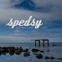 The Sum Of Who We've Loved - Spedsy
