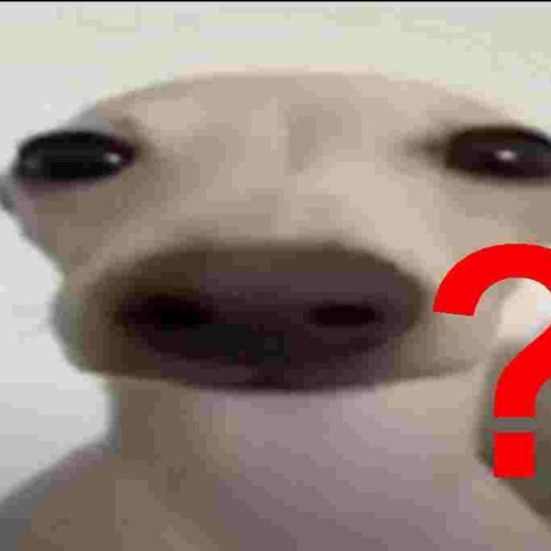 whomst have left the canine escape????????????????????????????????????????????