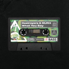 Destroyers & Murix - What You Say