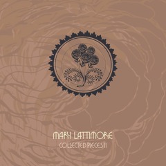 Mary Lattimore - Mary You Were Wrong