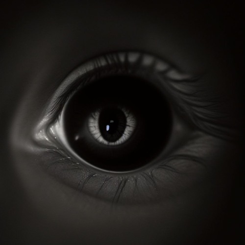 There is no voice but mine, no eye but what I invent to watch