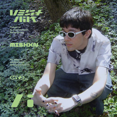 Vestnik Podcast 18 - mishxn