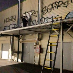 Cultura mecenat V2 .mp3