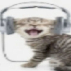 im4ge all songs