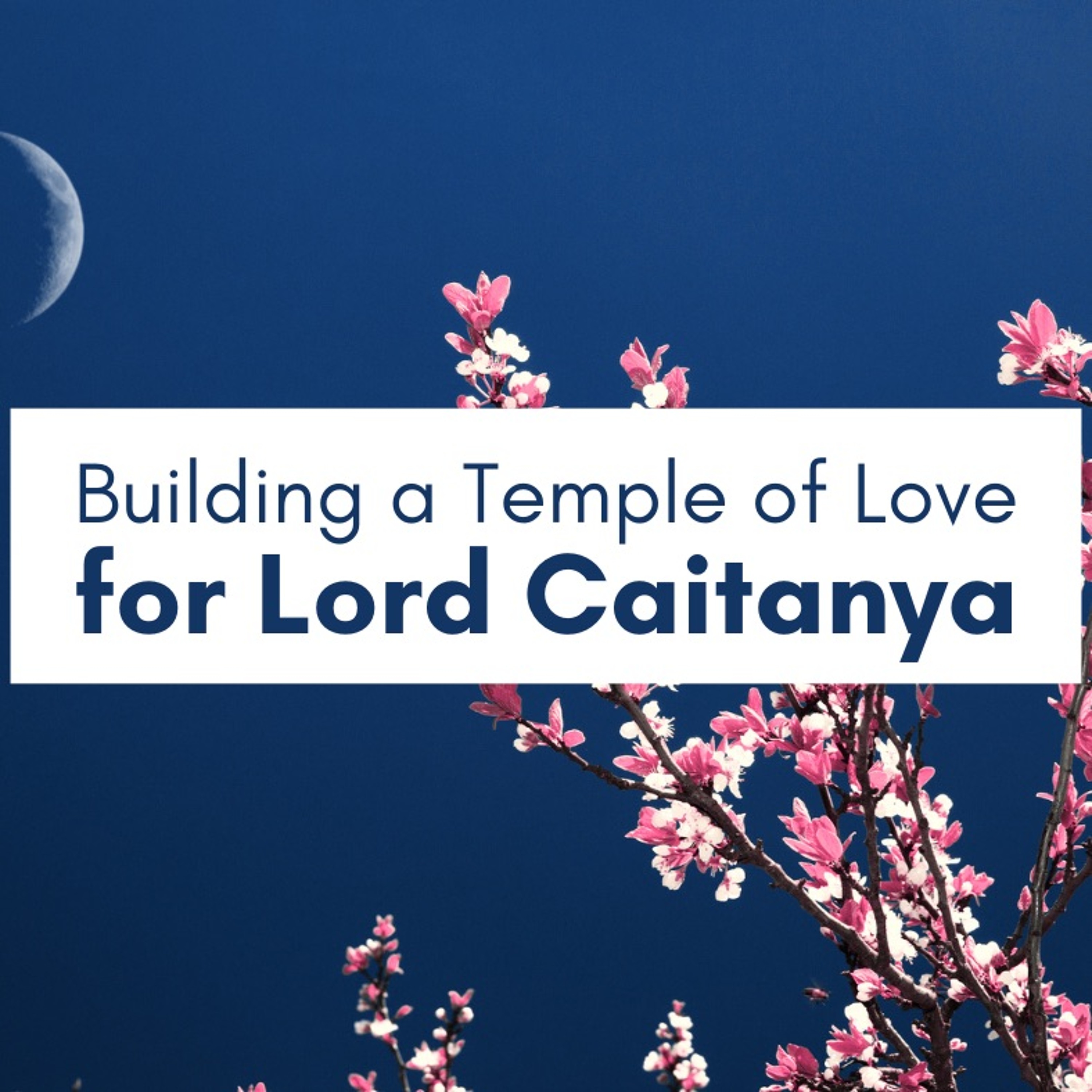 Building a Temple of Love for Lord Caitanya