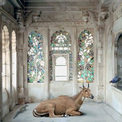 Musica Speculativa (Andere Weise als Körper gibt es nicht)[2020], for  Ensemble Musik Fabrik