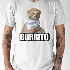 Burrito Cat Cringey T-Shirt