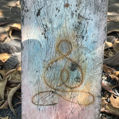 flauta