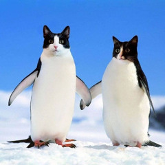 ananas und macadamia