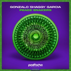 Gonzalo Shaggy Garcia - Peace Snakers (Intro Piano Mix) OUTNOW in all digital music stores