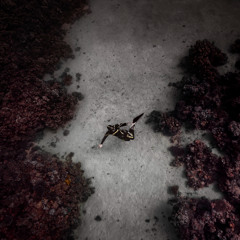 DJ Infrasthesia Dubstep Mix - Apr 2025 "Tranquil Bloodbending"