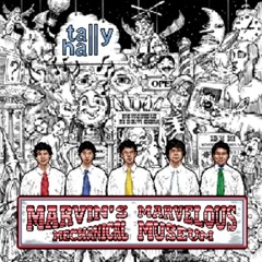 Tally Hall - Ruler Of Everything (8-bit 0CC Famitracker 2A03+MMC5+VRC6 Cover).mp3