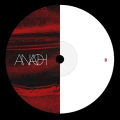 Premiere: Dig-It - Untrodden Path (Fixon & Gene Richards Jr Remix) [ANA007LTD]