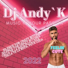 Dj Andy’k Silence For Crazy Bitches 2022