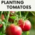 Artwork for Plant Tomatoes