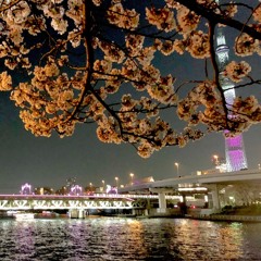 Yuutsu - Sumida (Original Mix)