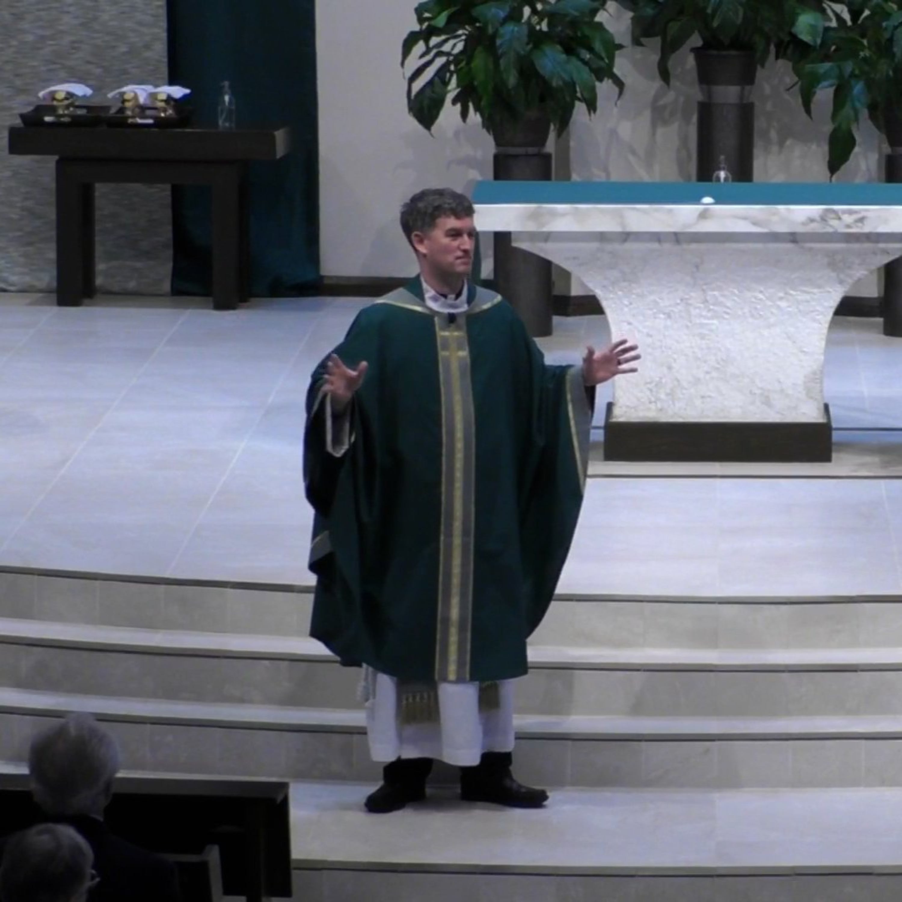 Fr. Chris: Fifteenth Sunday in Ordinary Time episode artwork