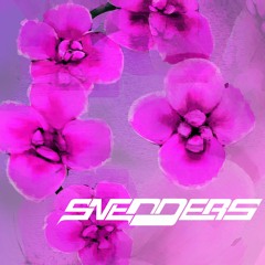 Orchids