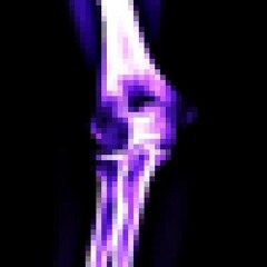 >'RooTTn'{ [type= /Sylvia Rivera  - "Y’all Better Quiet Down”]